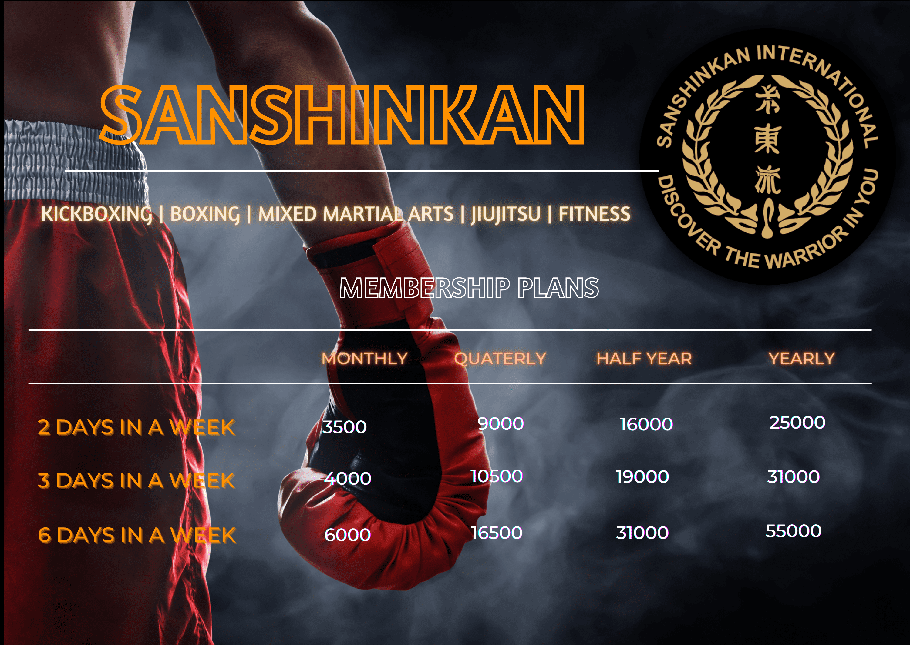 Pricing Mixed Martial Art in Gurgaon MMA Training Centre Karate